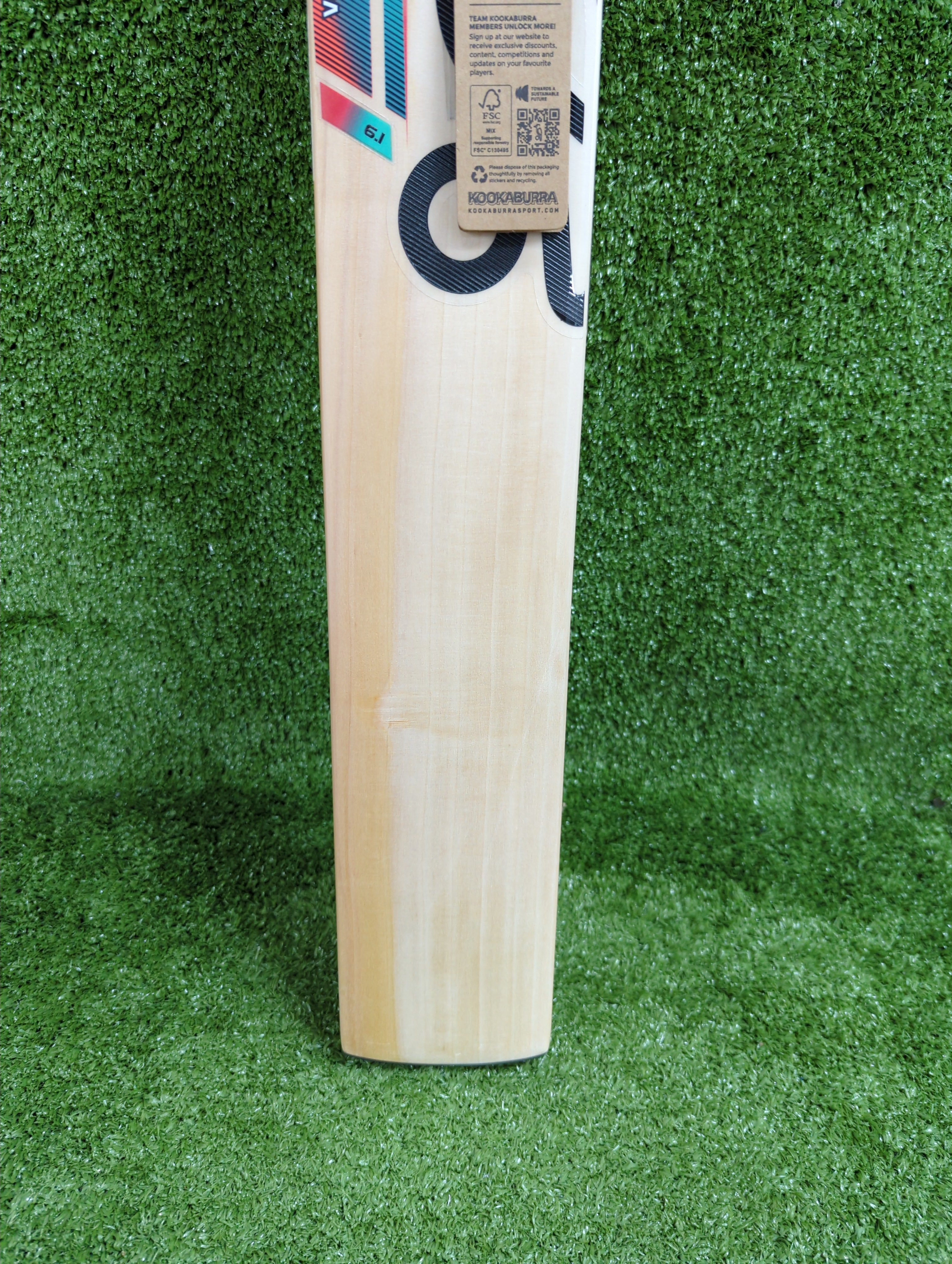 Kookaburra Aura 6.1 English Willow Cricket Bat - Premium Professional Grade for Adult Players - Perfect for Matches, Training & Club Cricket