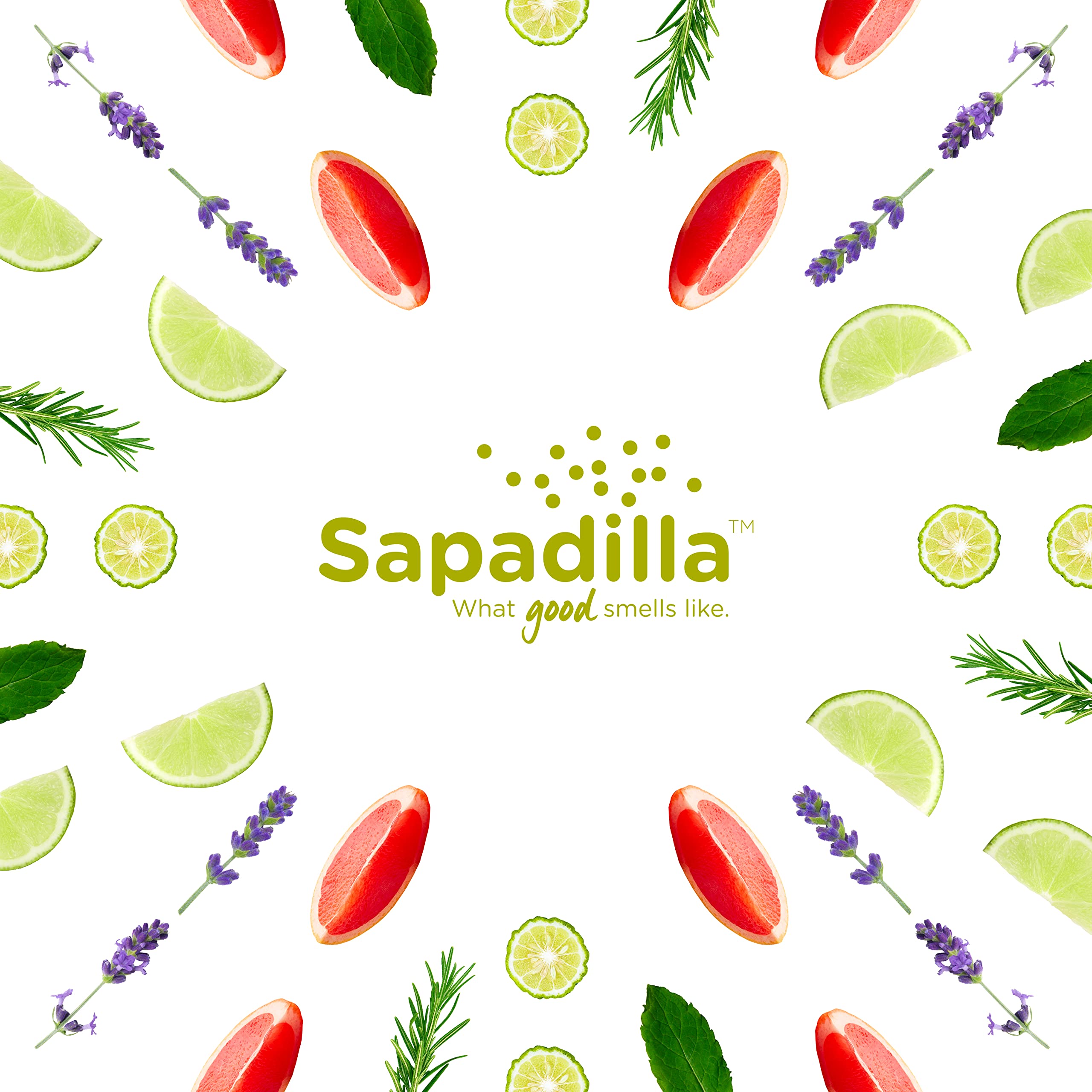Sapadilla Grapefruit Bergamot Liquid Hand Soap - 100% Pure Essential Oil, Moisturizing & Cleansing, Plant-Based & Biodegradable - 12oz (3-Pack) for Kitchen, Bathroom & Office Use