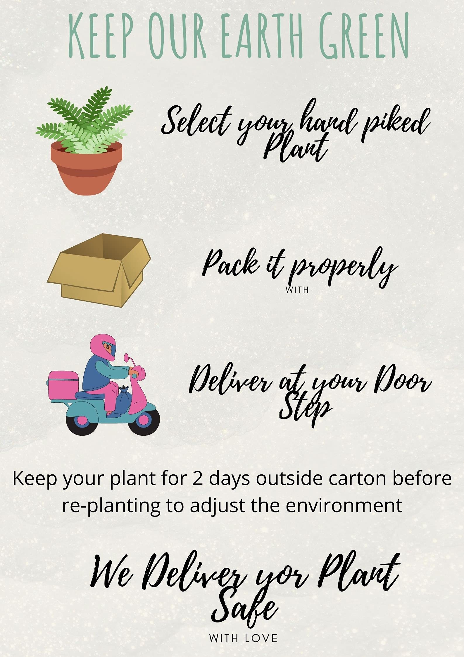 Ohhsome Natural Henna Plant (Mehandhi Live Plant) - Healthy Balcony Plant for DIY Mehndi & Tattoos | Perfect for Home Decor, Weddings & Festive Occasions