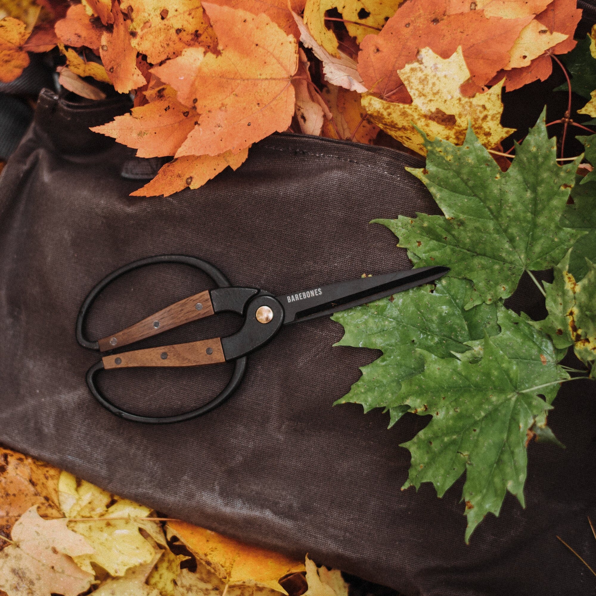 Premium Walnut Garden Scissors - Heavy Duty Pruning Shears for Gardening, Trimming, and Harvesting - Perfect for Fruits, Herbs, and Flowers