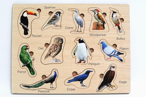 Bird Shape Puzzle