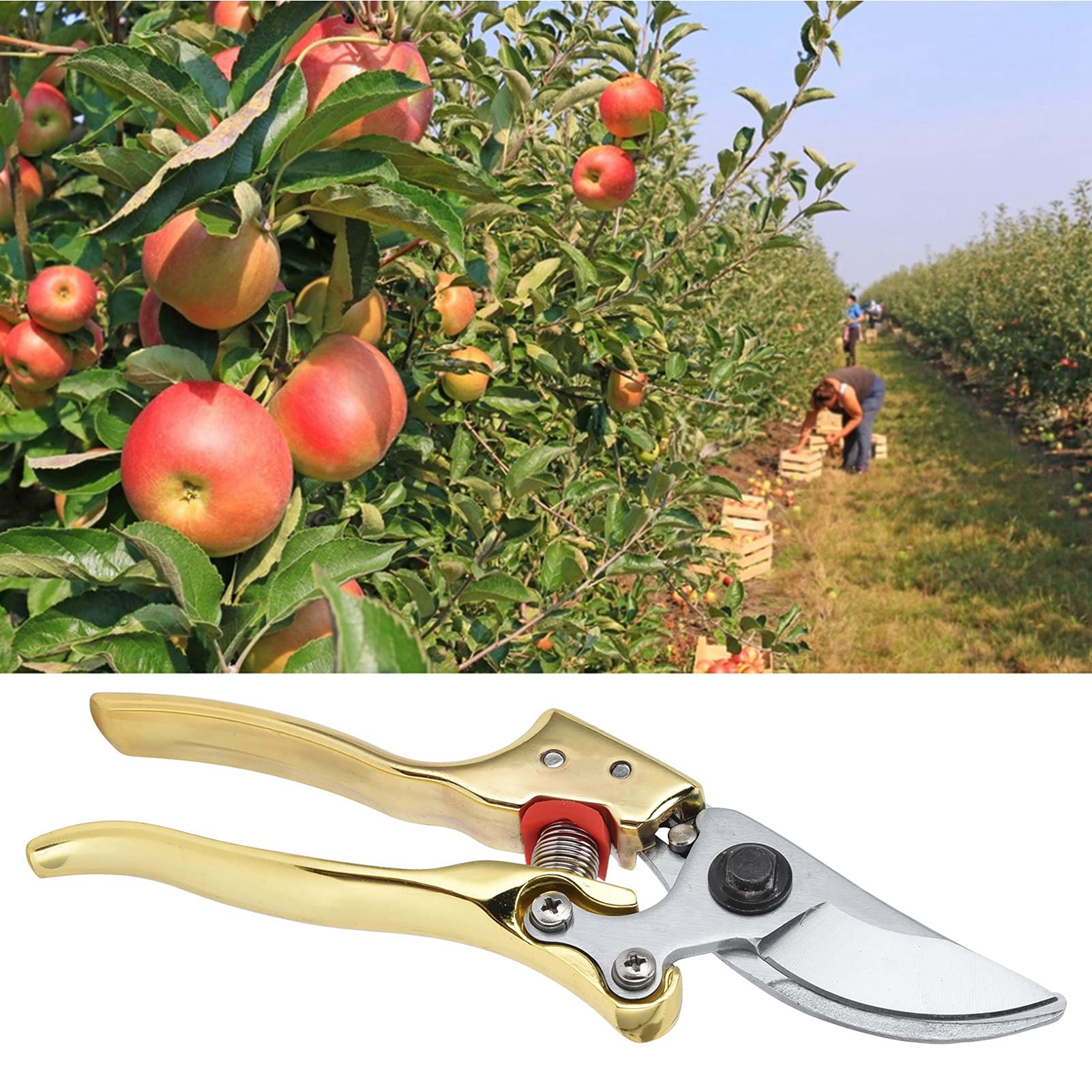 Premium Garden Pruners - Sharp Bypass Pruning Shears for Trees, Plants & Flowers - Ergonomic Gardening Shears for Effortless Branch Trimming (Ideal for Fruit Trees, Rose Bushes & Landscaping)