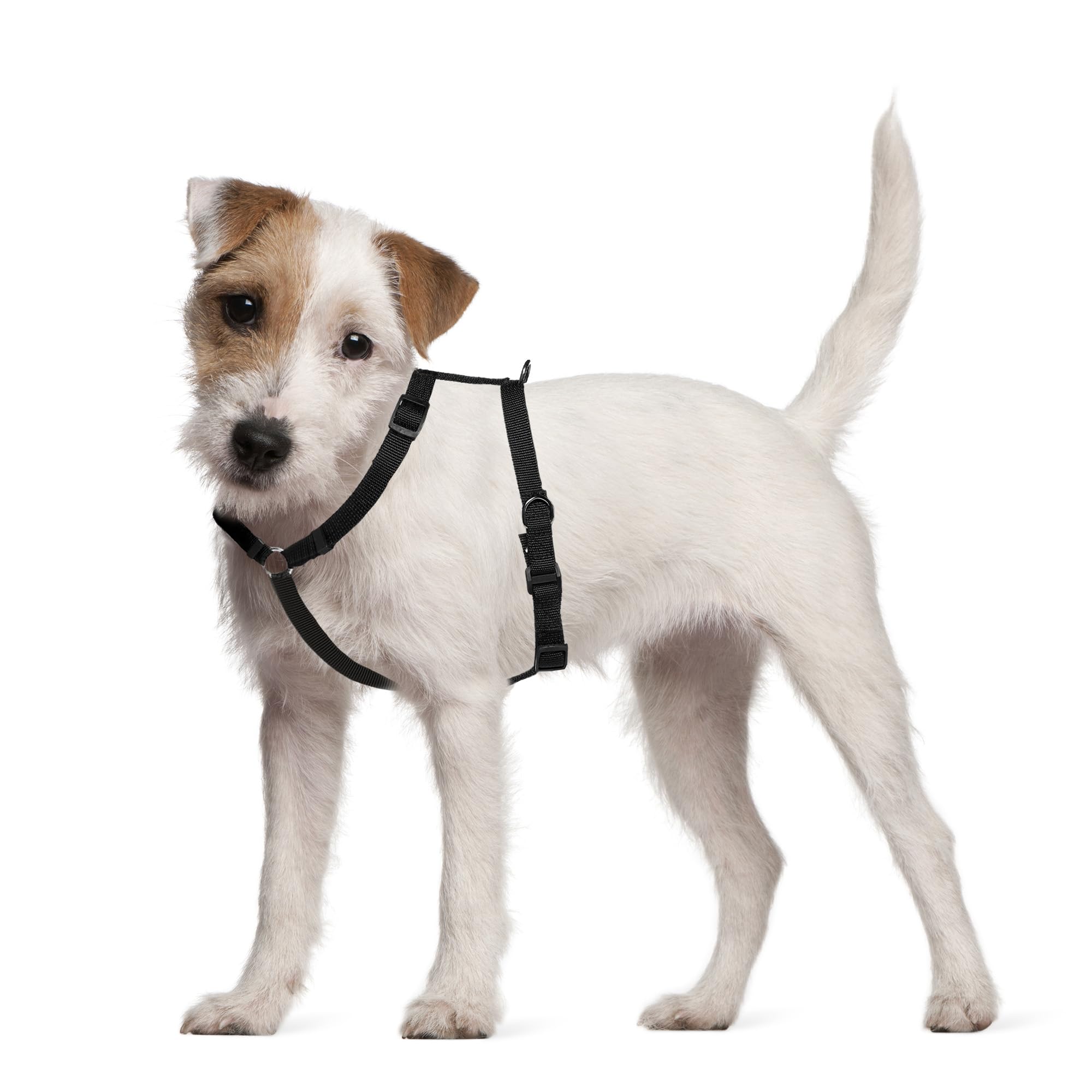 **Dog Car Seat Harness - Adjustable Pet Safety Harness for Small Dogs (8