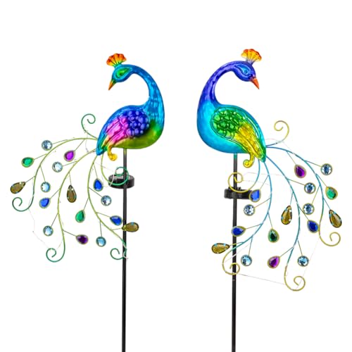 Colorful-2pack