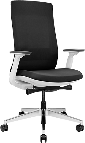 Eurotech Elevate White Frame Mesh Fabric ELV2 Ergonomic Office Chair - Comfortable & Adjustable for Home & Workspace