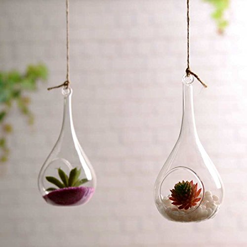 2 Pack Glass Hanging Candle Holders & Succulent Planters - Indoor/Outdoor Decorative Hanging Glass Plant Pots for Air Plants, Flowers & Terrariums - Perfect for Patio, Garden, Balcony & Home Decor