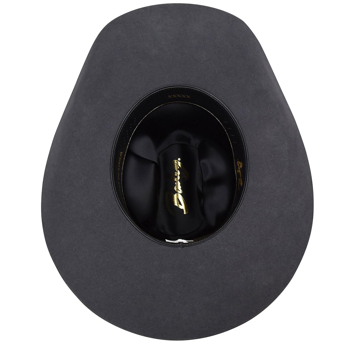 Bailey Western Pro 5X Cowboy Hat for Men - Genuine Leather Western Style Hat with Wide Brim - Perfect for Rodeo, Ranch Work, and Country Music Festivals