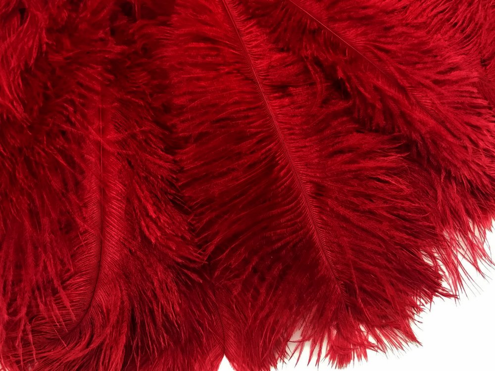 100 Pieces 8-10 Inch Red Ostrich Feathers Bulk - Dyed Drab Body Wholesale Feathers for Wedding Centerpieces, Gatsby Party Decor, DIY Crafts | Perfect for Floral Arrangements, Costume Accessories & Home Decor