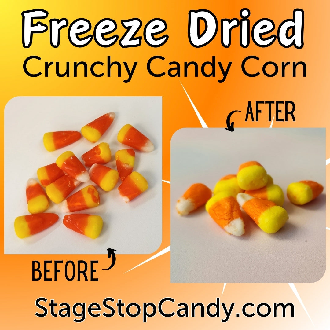 Crunchy Freeze Dried Candy Corn - Sweet Halloween Treats for Parties, Snacking & Gift Giving