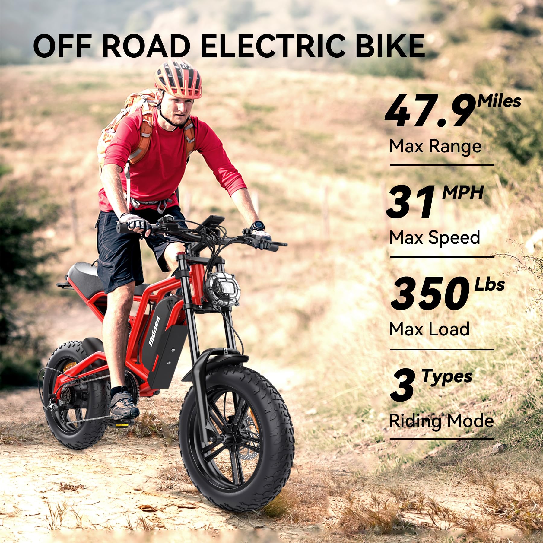 Hidoes B6 700-1200W Electric Bike for Adults - 20