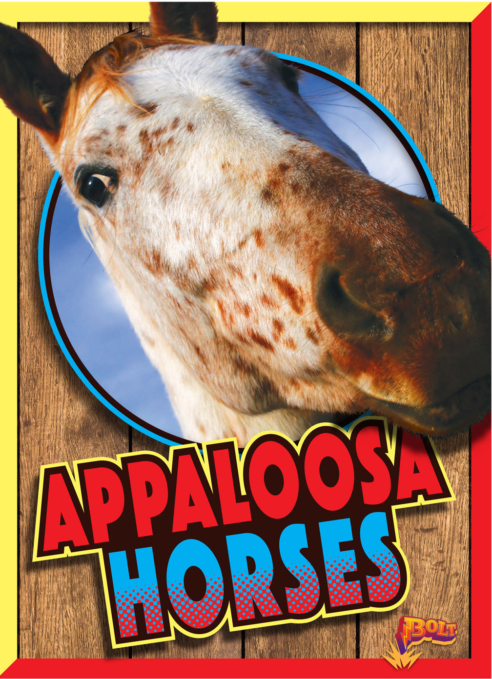 Appaloosa Horses for Sale - Beautiful Spotted Coat Patterns | Perfect for Trail Riding, Shows & Ranch Work