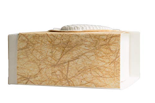 Eco-Friendly Biodegradable Burial Urn Box - Large Leaf Design for Ground Burial & Scattering Ashes | Natural Golden Grass with Leaf | Perfect for Memorial Services & Green Funerals