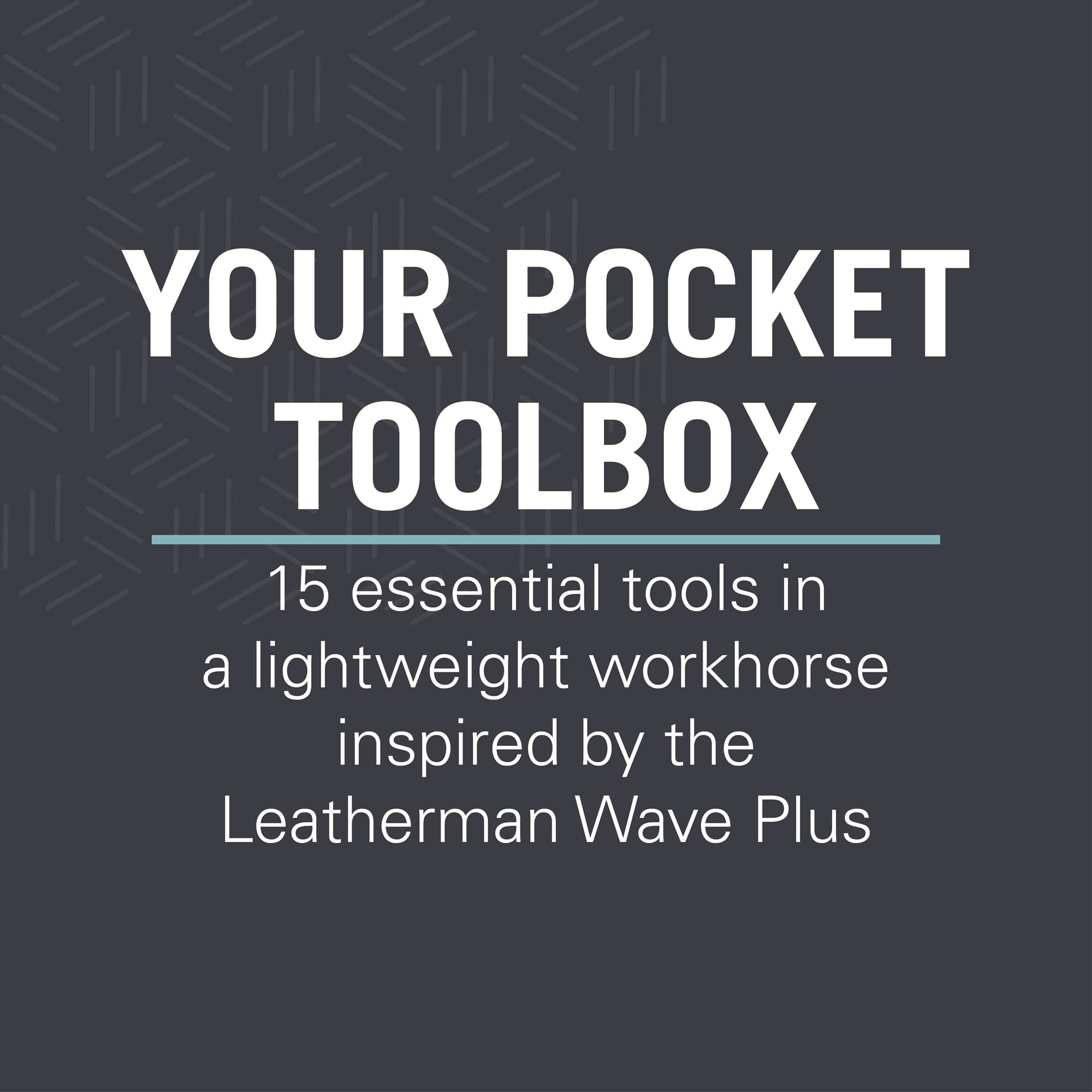 LEATHERMAN Curl Multitool - Stainless Steel Everyday Carry Tool with Nylon Sheath | Perfect for Camping, Hiking, DIY & Emergency Situations