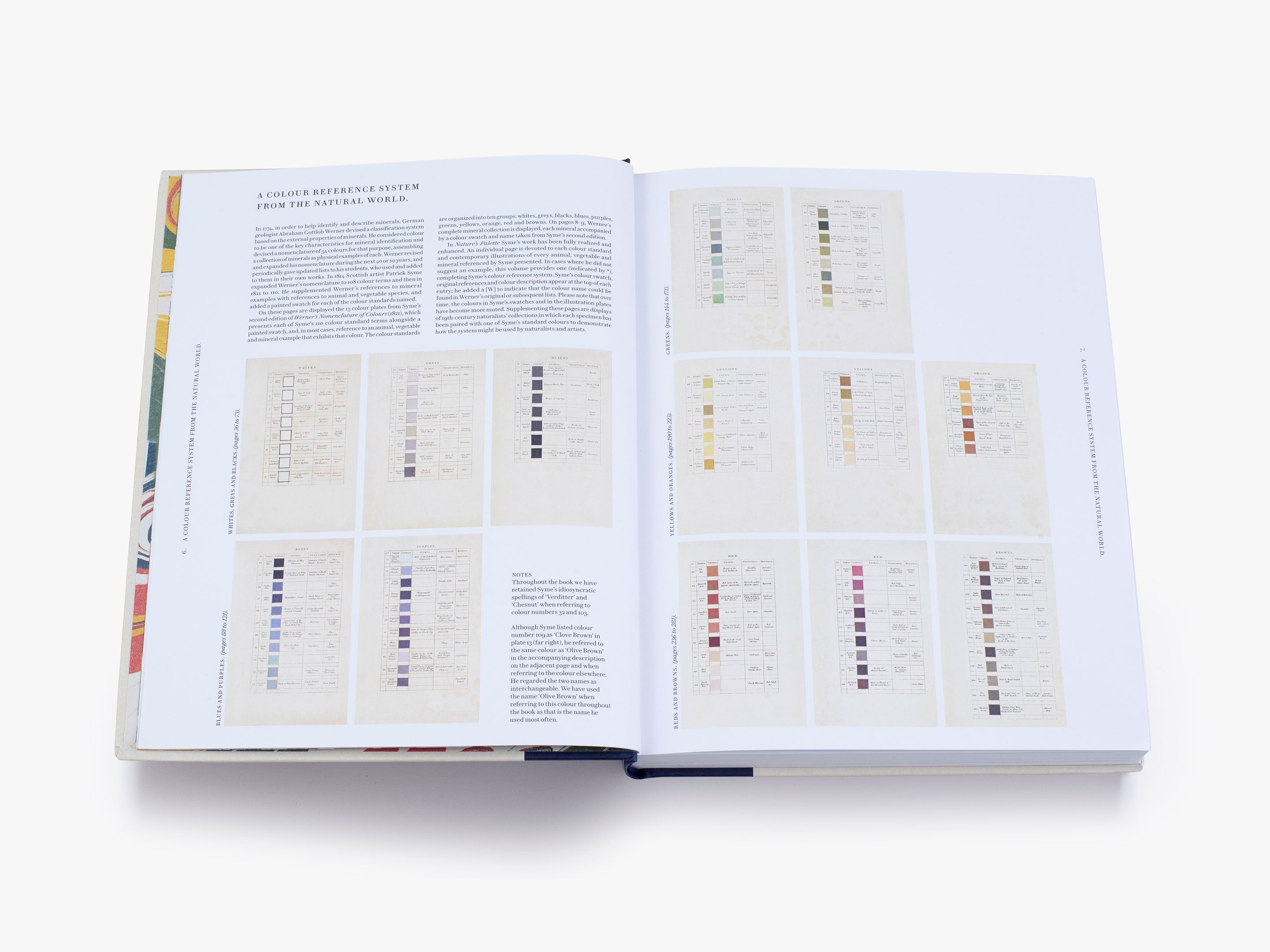 Nature's Palette (Signed Copy) - Vibrant Art Book for Home Decor, Gifts & Inspiration | Perfect for Nature Lovers & Art Collectors