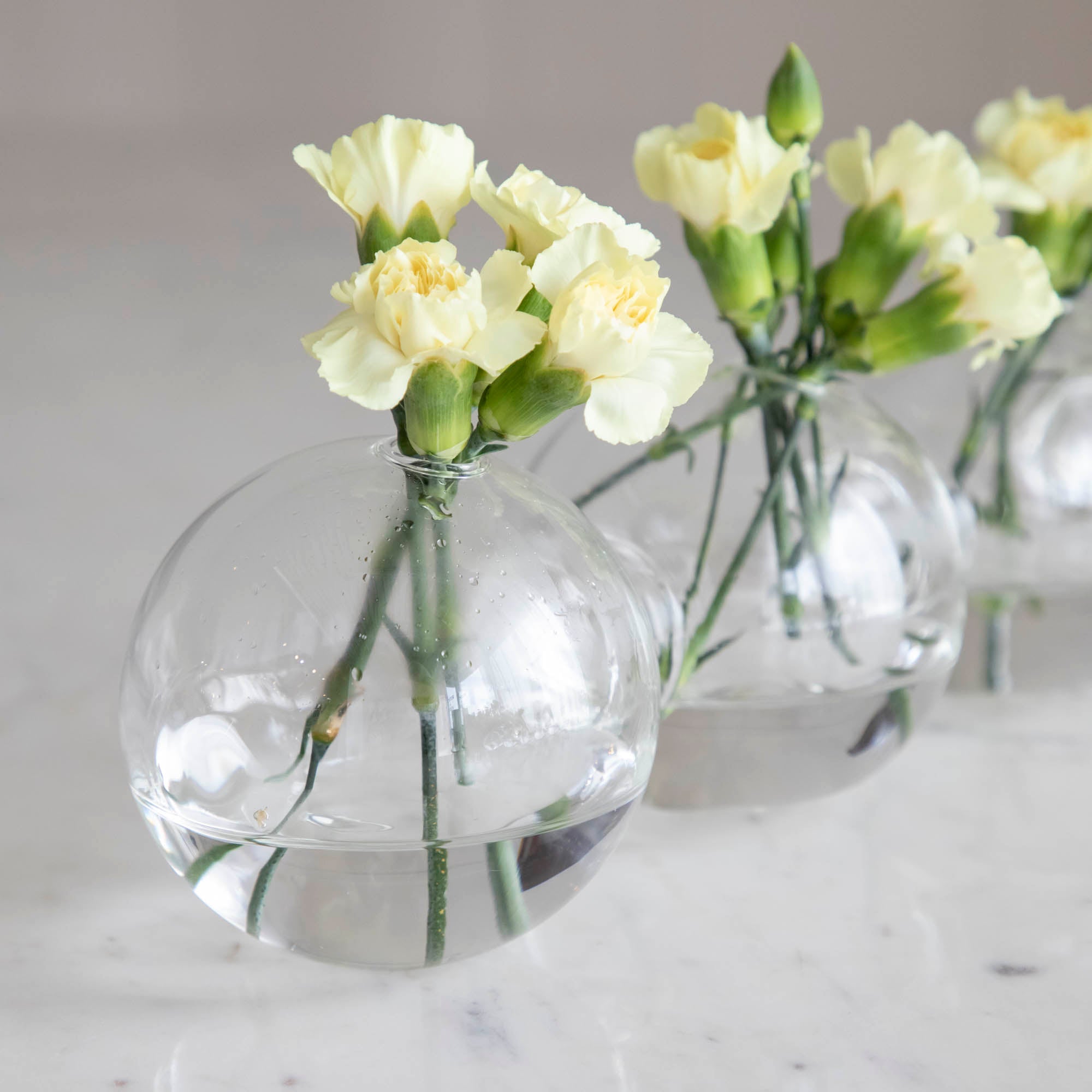 Caterpillar Vase - Unique Handmade Ceramic Flower Pot for Home Decor, Gift Idea | Perfect for Living Room, Bedroom, Office & Wedding Centerpieces