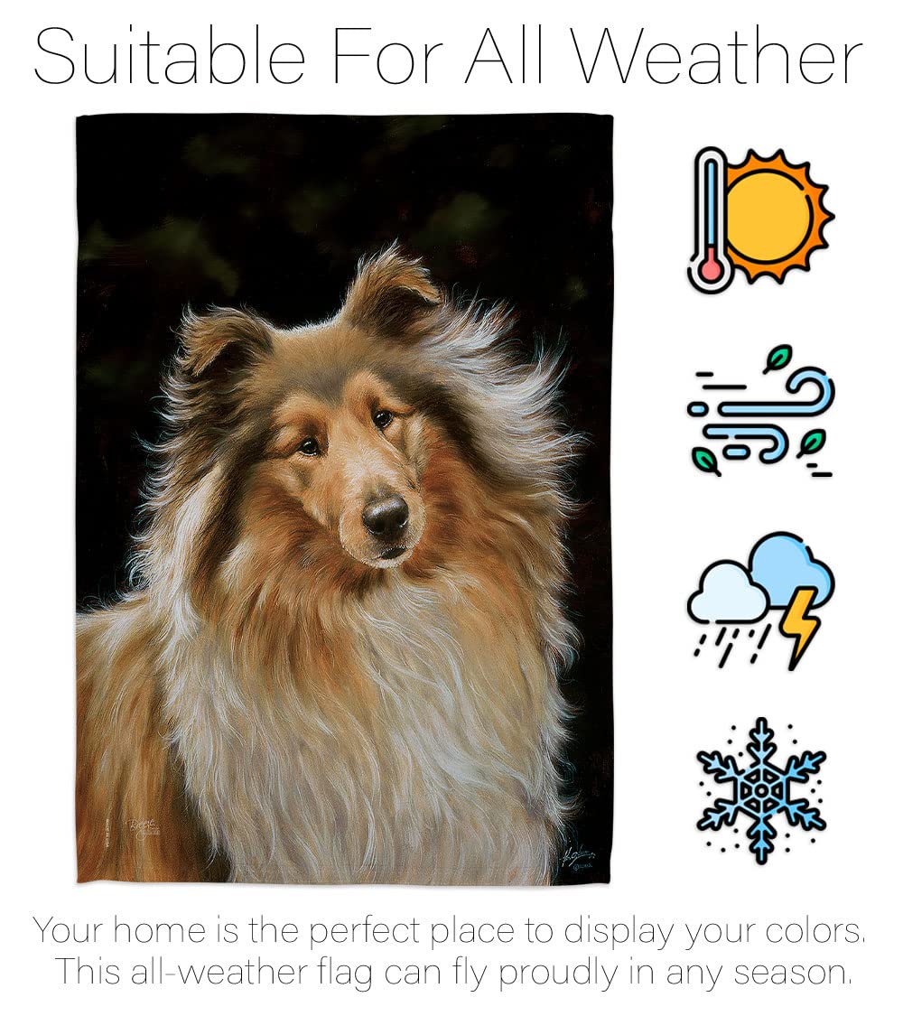 Collie Pet House Flag Set 28x40