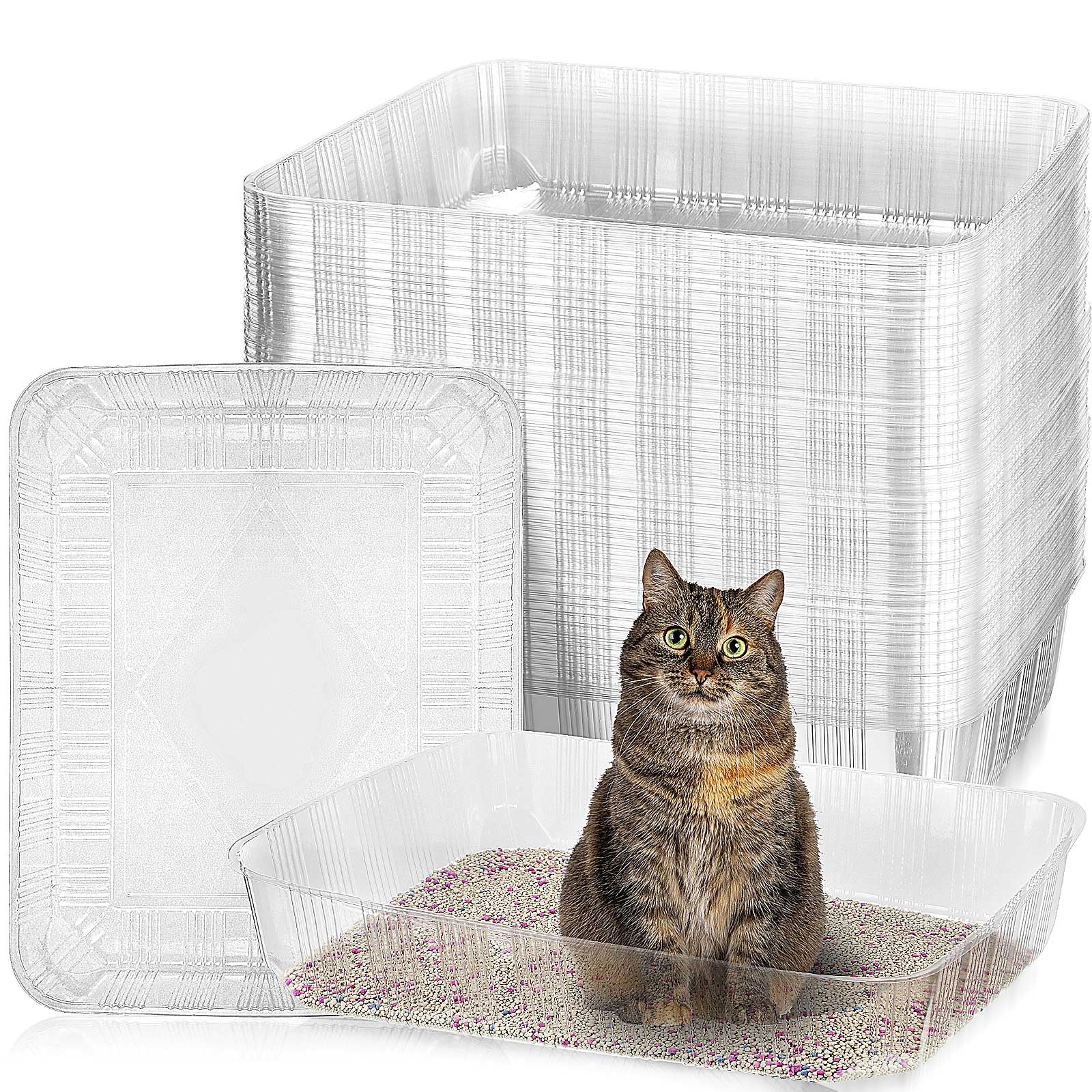Zubebe 50 Pack Disposable Cat Litter Boxes - Large 19.69 x 15.75 x 3.94 Inch Plastic Litter Trays for Indoor Cats, Travel & Home Use - Portable, Lightweight & Convenient (Clear) - Perfect for Daily Use, Camping & Road Trips