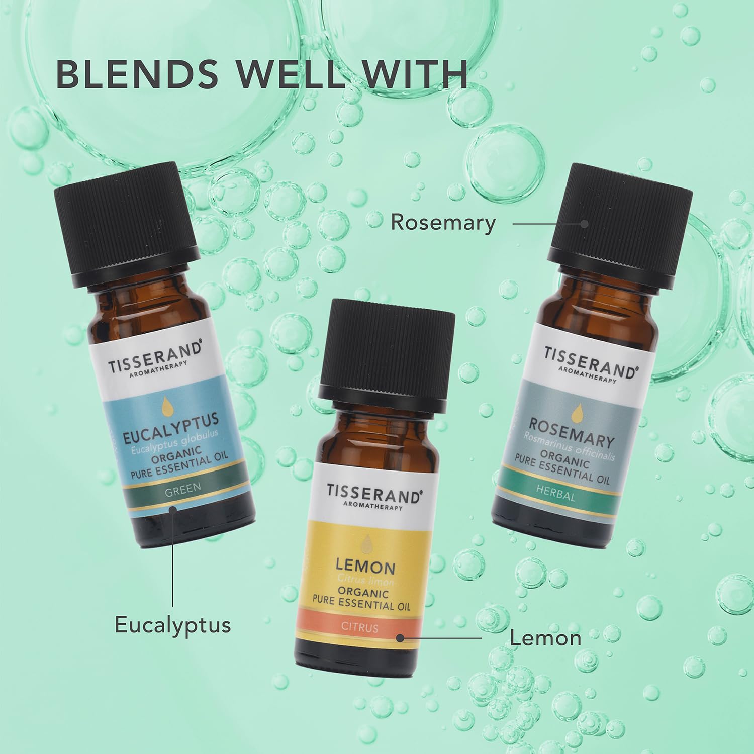 **Tisserand Organic Tea Tree Essential Oil - 100% Pure Natural Aromatherapy Oil for Massage, Skin Care & Diffusers | 20ml | Relaxation, Stress Relief & Home Spa**