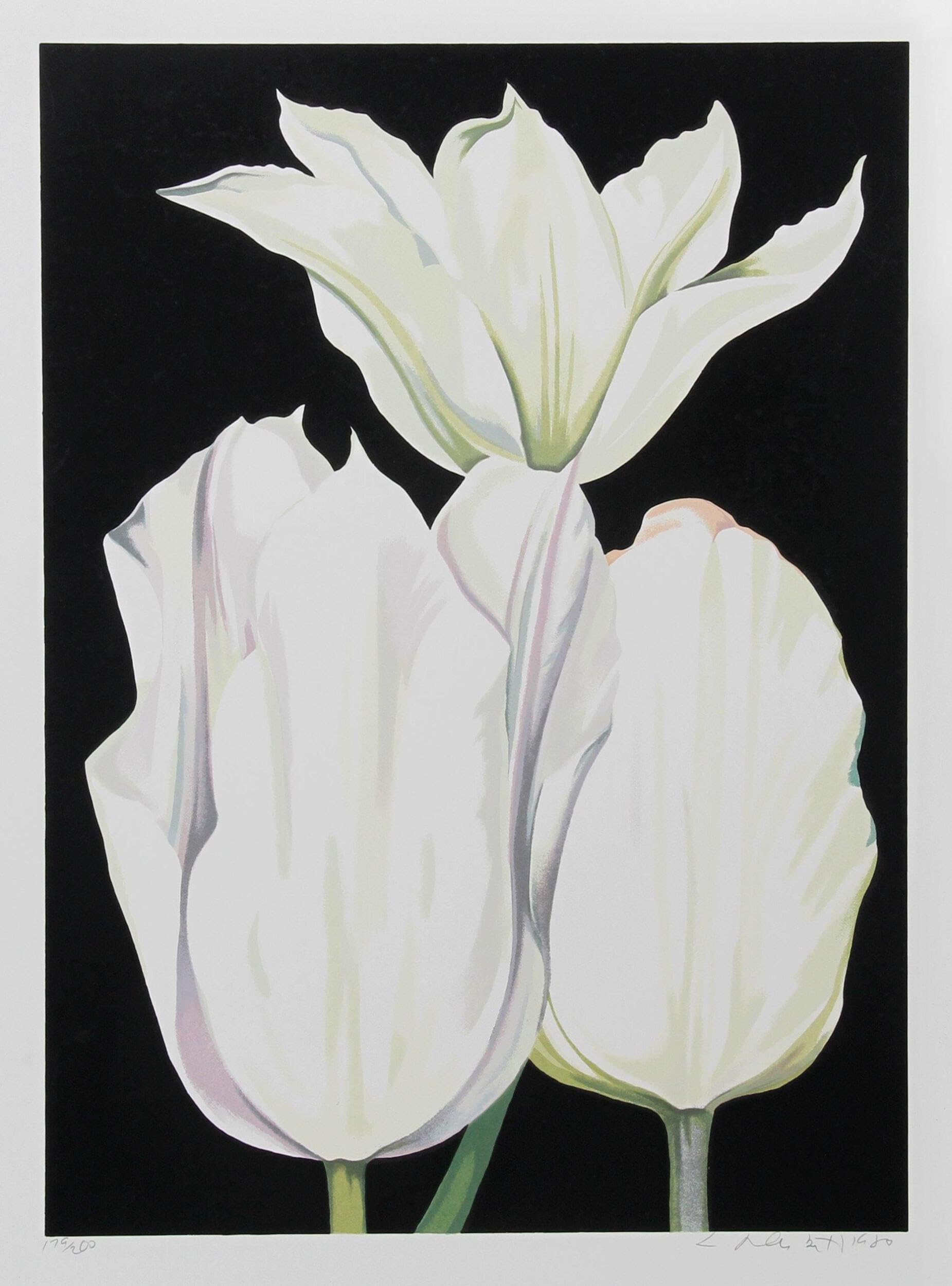 Three Tulips on Black Canvas - Elegant Floral Wall Art for Home Decor, Office & Living Room