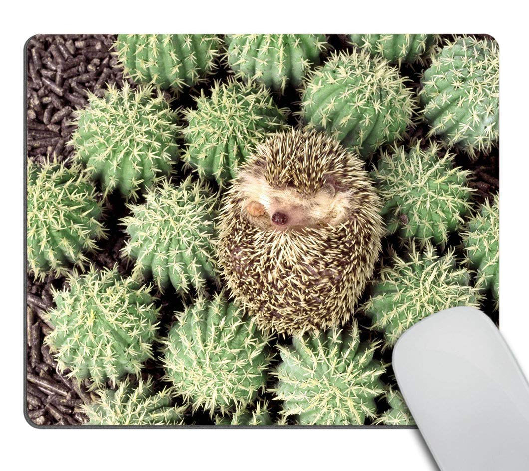 Custom Gaming Mouse Pad with Hedgehog & Cactus Thorn Design - Non-Slip RGB Computer Mouse Mat for PC, Laptop & Office - Perfect for Gamers, Graphic Designers & Workstations