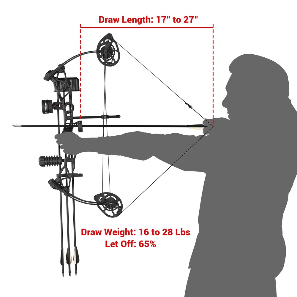 TheLAShop Youth Compound Bow and Arrow Set - 6 Arrows Included | Perfect for Beginners, Outdoor Target Practice & Hunting Training | Lightweight & Adjustable for Teens & Kids