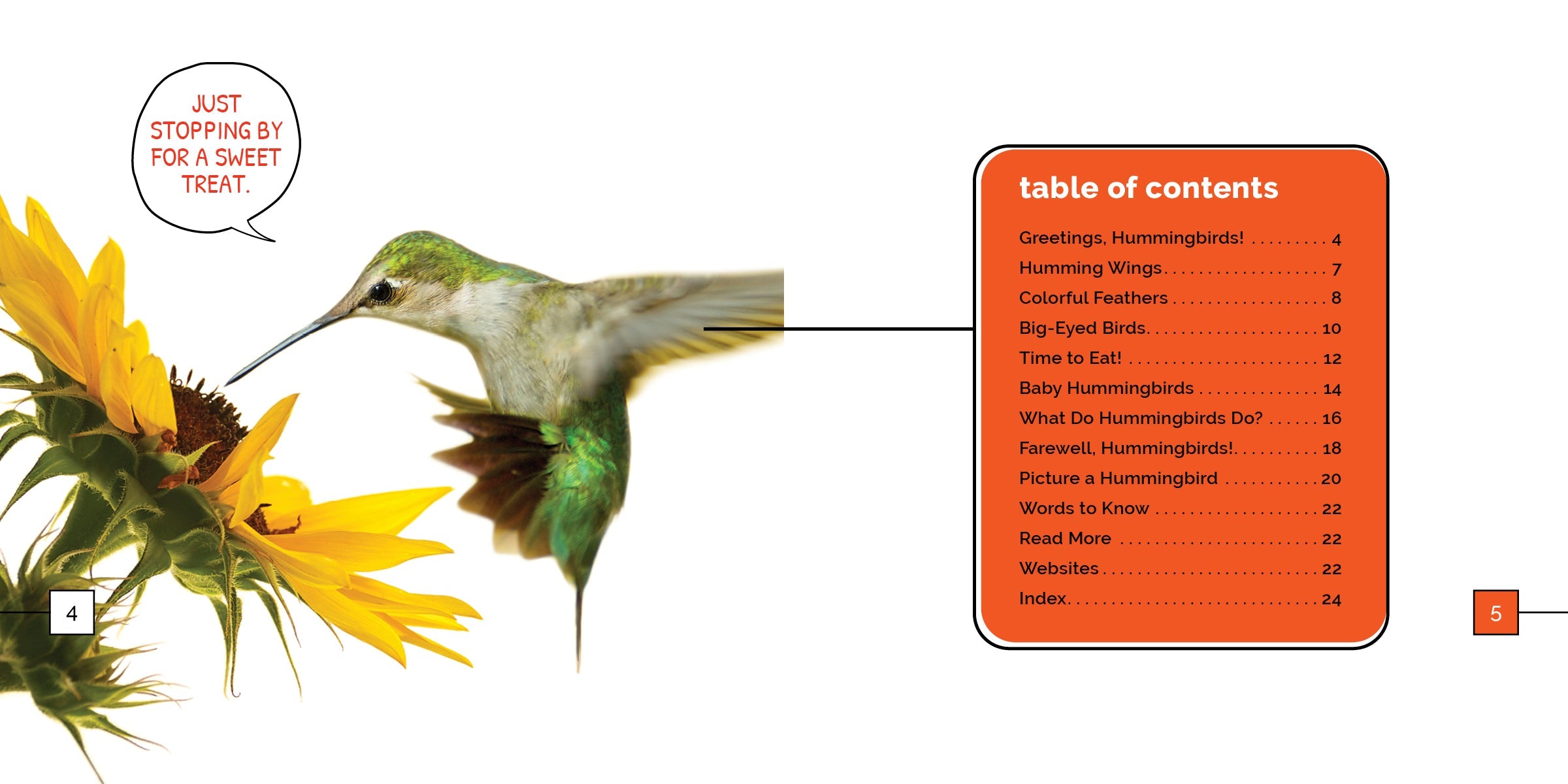 Hummingbirds Marvels - Stunning Hummingbird Gifts & Decor for Nature Lovers | Perfect for Home Decor, Garden Ornaments & Bird Watching Enthusiasts