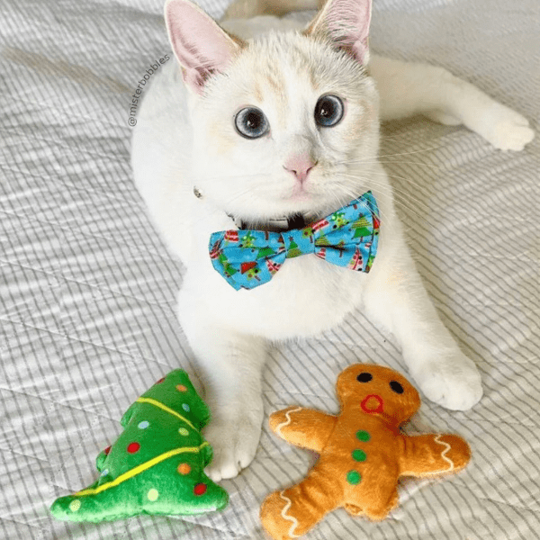 Huxley & Kent Oh Snap! Interactive Cat Toy - Fun Teaser Wand with Feathers for Indoor Play & Exercise - Perfect for Kittens & Adult Cats