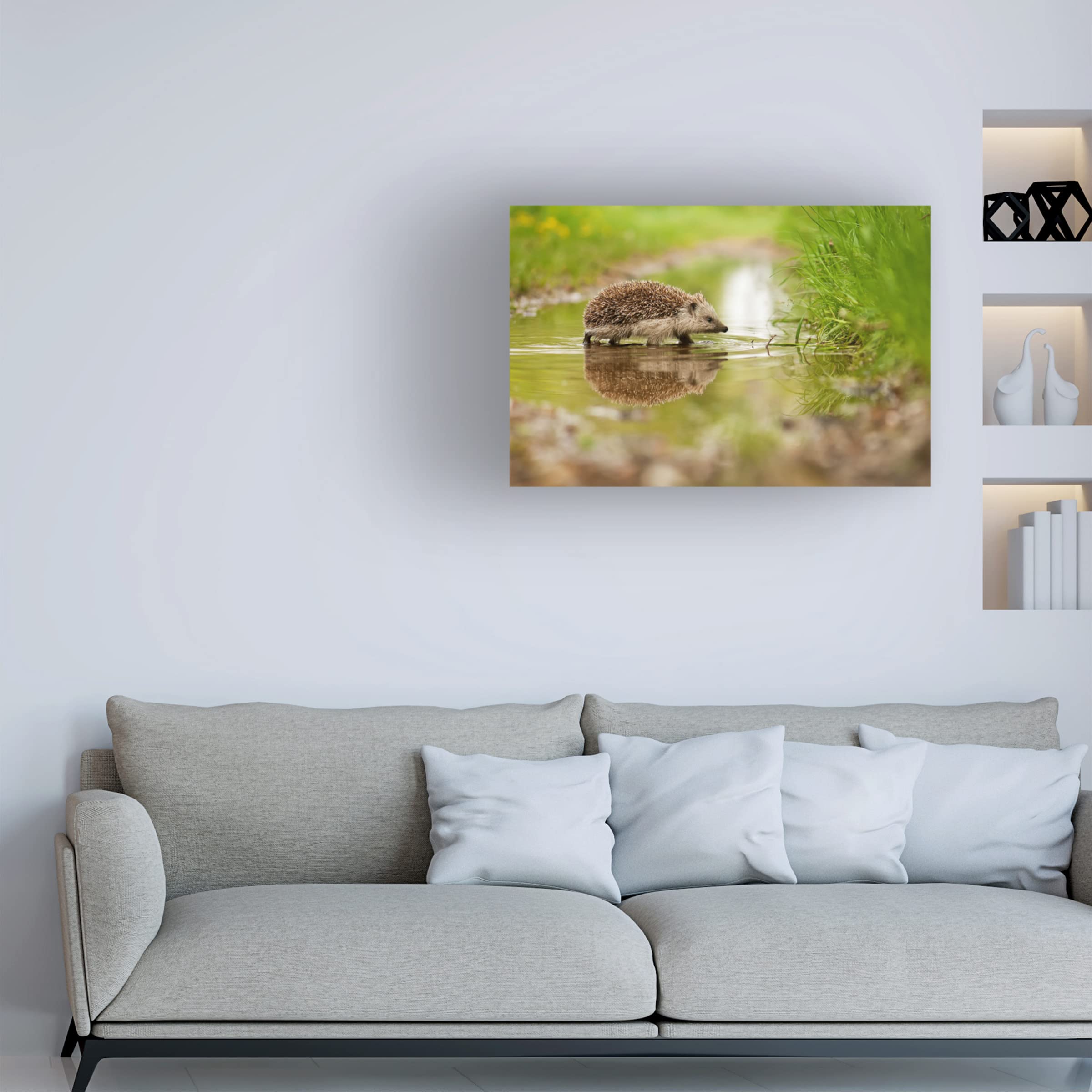 Trademark Fine Art 'Hedgehog' Canvas Wall Art by Michal Candrak - Cute Animal Painting for Living Room, Bedroom & Nursery Decor