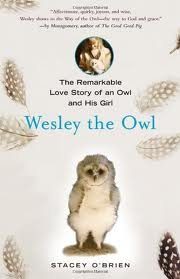 Wesley the Owl Book by Stacey O'Brien - Free Press Publishing | Heartwarming True Story of an Owl's Life - Perfect for Animal Lovers & Nature Enthusiasts