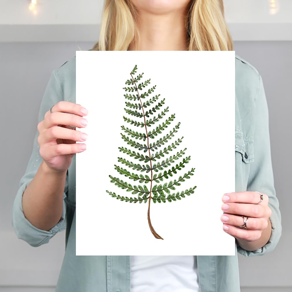 Fern Wall Art Set of 4 - 8x10 Inch Unframed Botanical Prints - Nature Inspired Kitchen Decor for Home & Office - Perfect for Living Room, Bedroom or Dining Area Wall Decoration