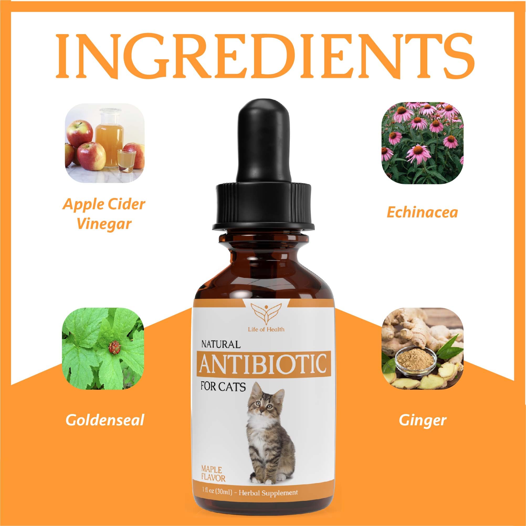 Natural Antibiotics for Cats - Immune Support & UTI Relief - Cat Antibiotic Supplement with Multivitamins (2 Pack) - Supports Overall Health for Indoor & Outdoor Cats