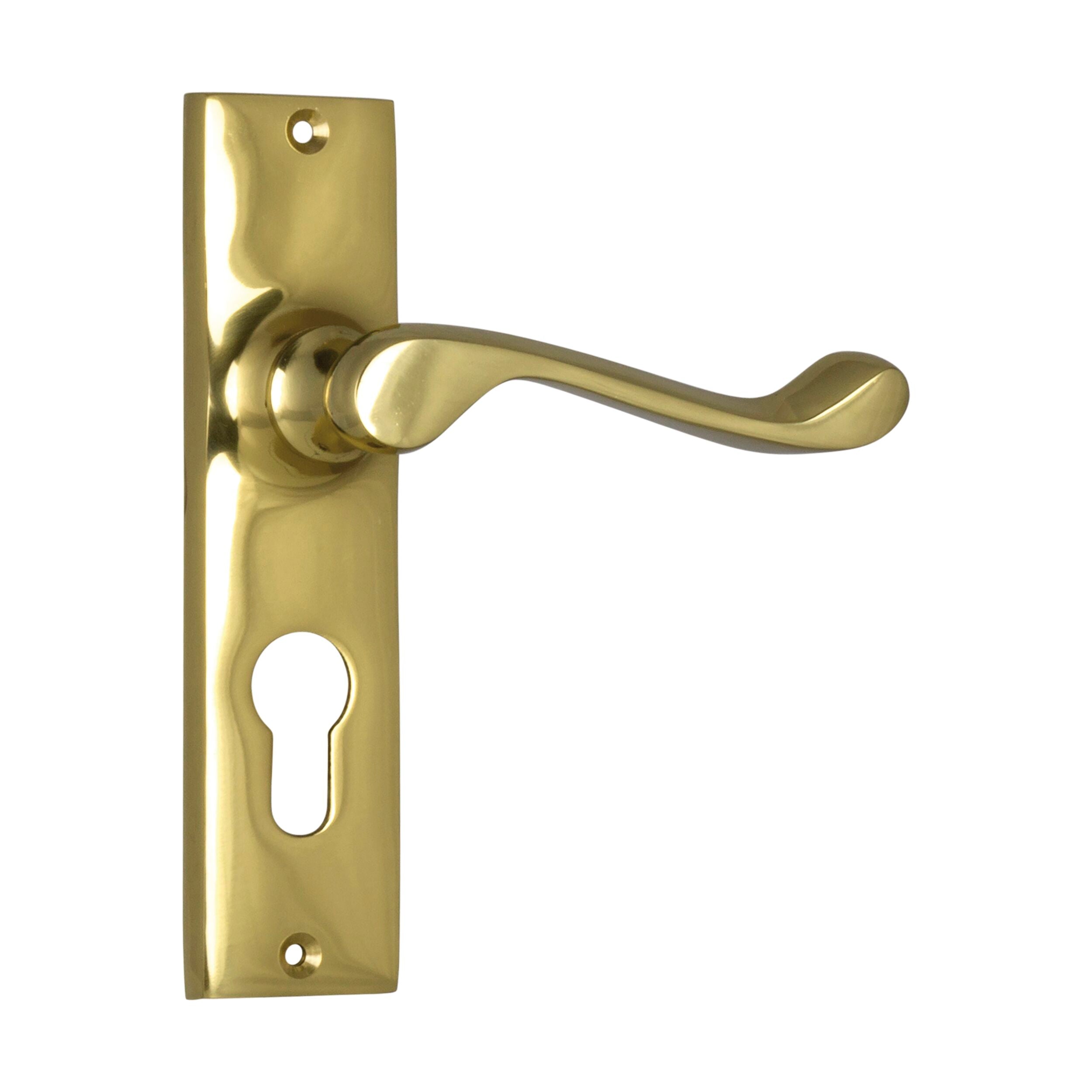 Fremantle Euro Pair 1025E Door Lever Set in Polished Brass - H150xW35xP50mm - Ideal for Interior Doors, Bedrooms, and Office Spaces