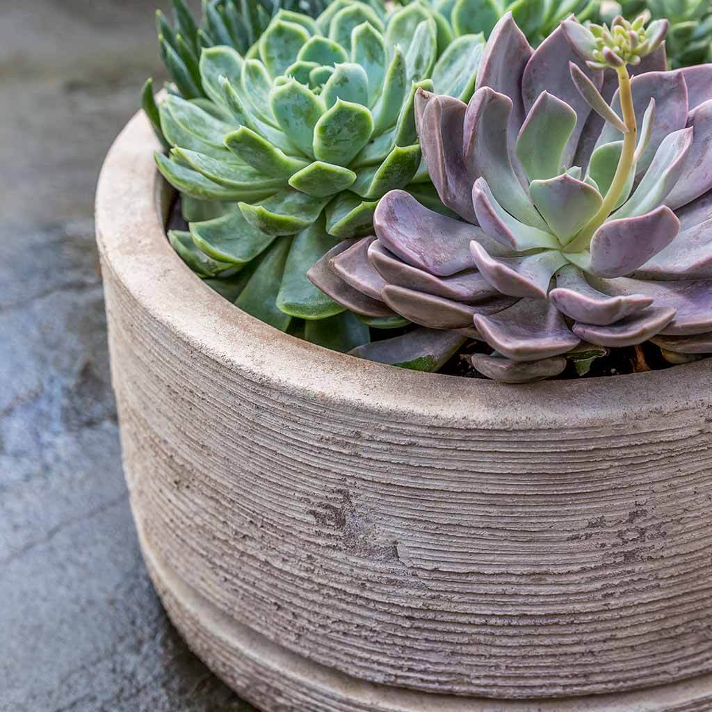 Campania International Sgraffito Low Planter Set of 3 - Antico Terra Cotta Flower Pots for Indoor Plants, Succulents & Home Decor | Perfect for Windowsills, Tabletops & Garden Accents