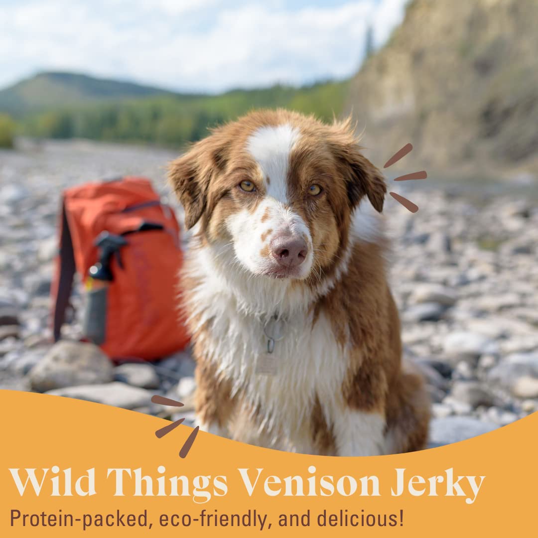 Premium OTIS Venison Jerky Dog Treats - High Protein, Grass-Fed, Pasture-Raised Healthy Snacks for Dogs | 4oz Resealable Bag | Perfect for Training, Rewards & Outdoor Adventures