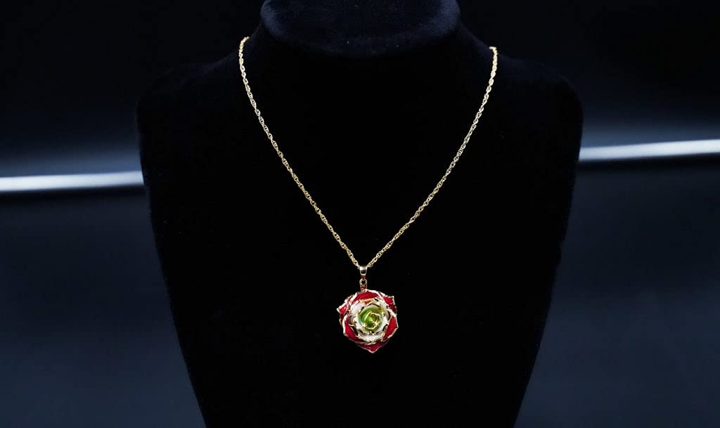 24K Gold Dipped Eternal Rose Necklace - Real Preserved Flower Jewelry for Women, Anniversary Gift, Valentine's Day Present, Wedding Proposal Keepsake - Perfect for Romantic Occasions & Special Moments