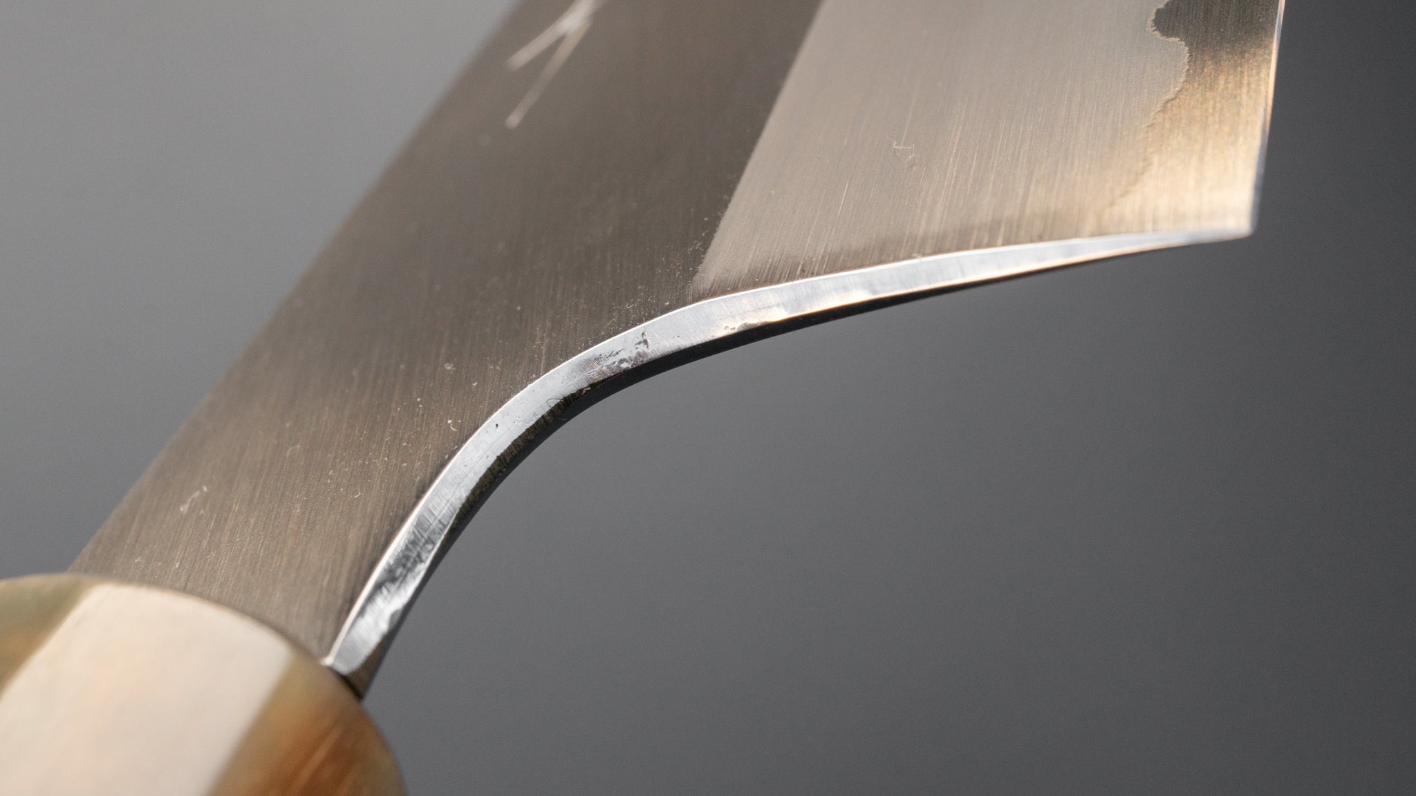 Hitohira Togashi Blue #1 Stainless Clad Migaki Gyuto 240mm Japanese Chef Knife with Taihei Makassar Ebony Handle - Perfect for Sushi, Meat Cutting & Professional Kitchen Use
