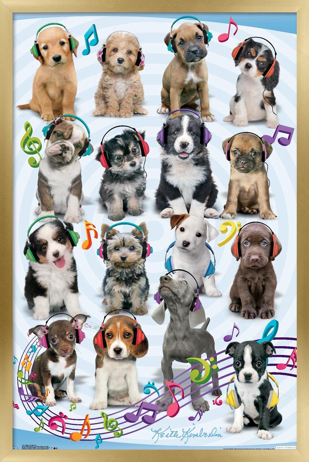 Trends International Keith Kimberlin Puppies Headphones Wall Poster - 14.725 x 22.375 Inches Gold Framed Art Print - Perfect for Bedroom, Living Room & Office Decor