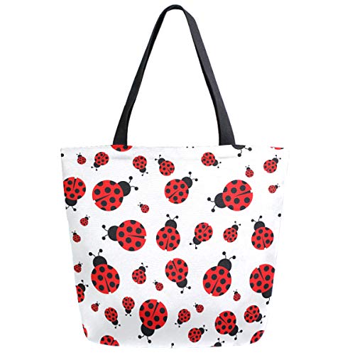 Ladybug