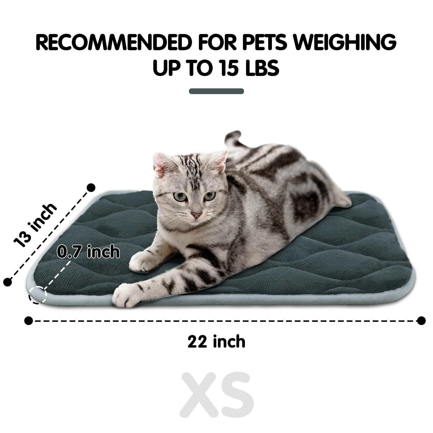 FurryBaby Anti-Slip Dog Bed Mat - Machine Washable Pet Kennel Pad for Small Dogs (22x13 Inches, Grey) - Perfect for Crates, Floors & Travel Use