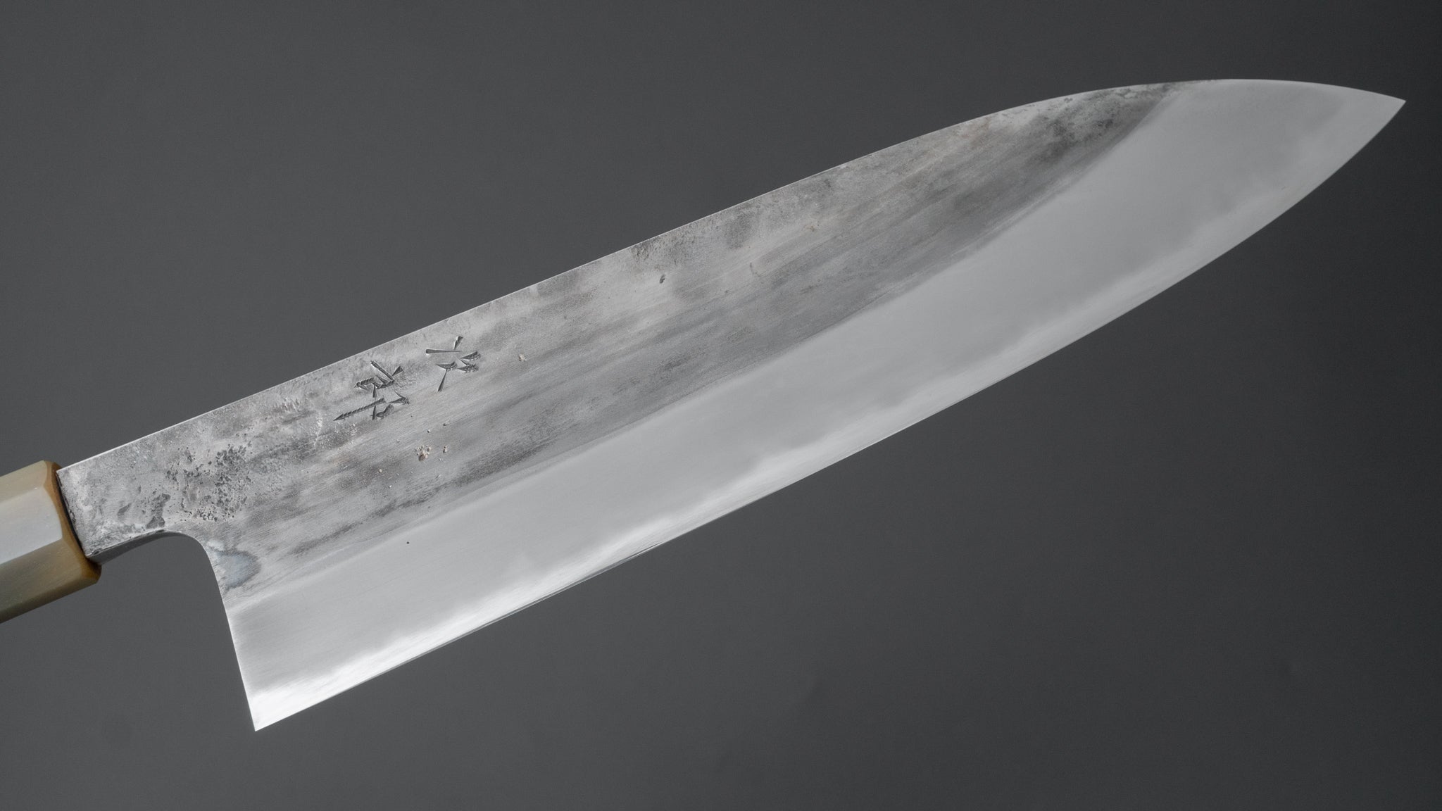 Premium Jiro Tsuchime Wa Gyuto 240mm Japanese Chef Knife with Taihei Tagayasan Handle - Perfect for Sushi, Sashimi & Precision Cutting (#509)