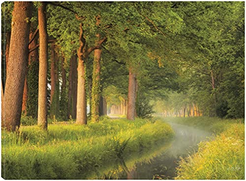 Spring Morning