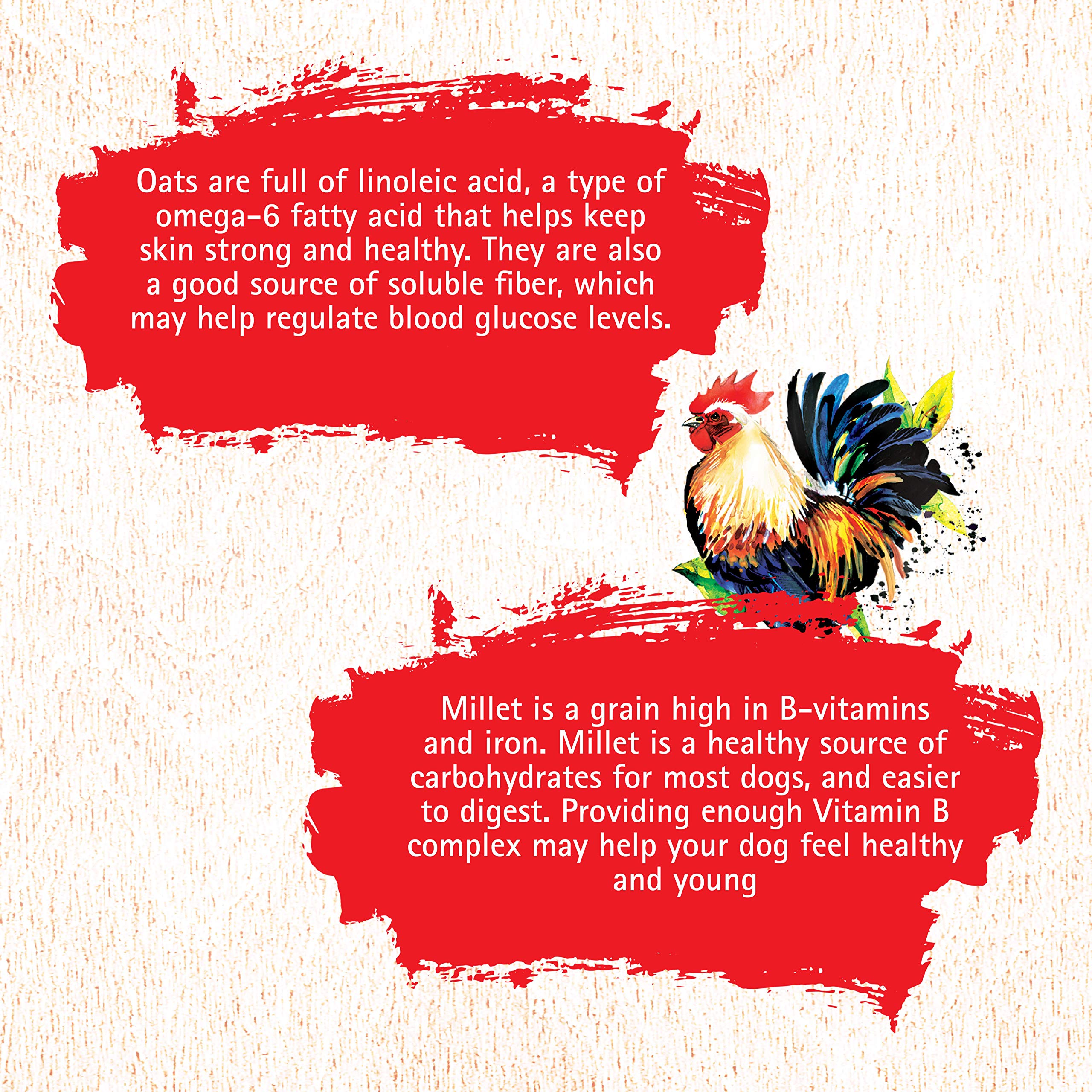 Inception® Dry Dog Food Chicken Recipe - Grain Free, High Protein, Complete & Balanced Adult Dog Food - 27 lb. Bag for Large & Medium Breed Dogs - Perfect for Daily Feeding & Active Lifestyles