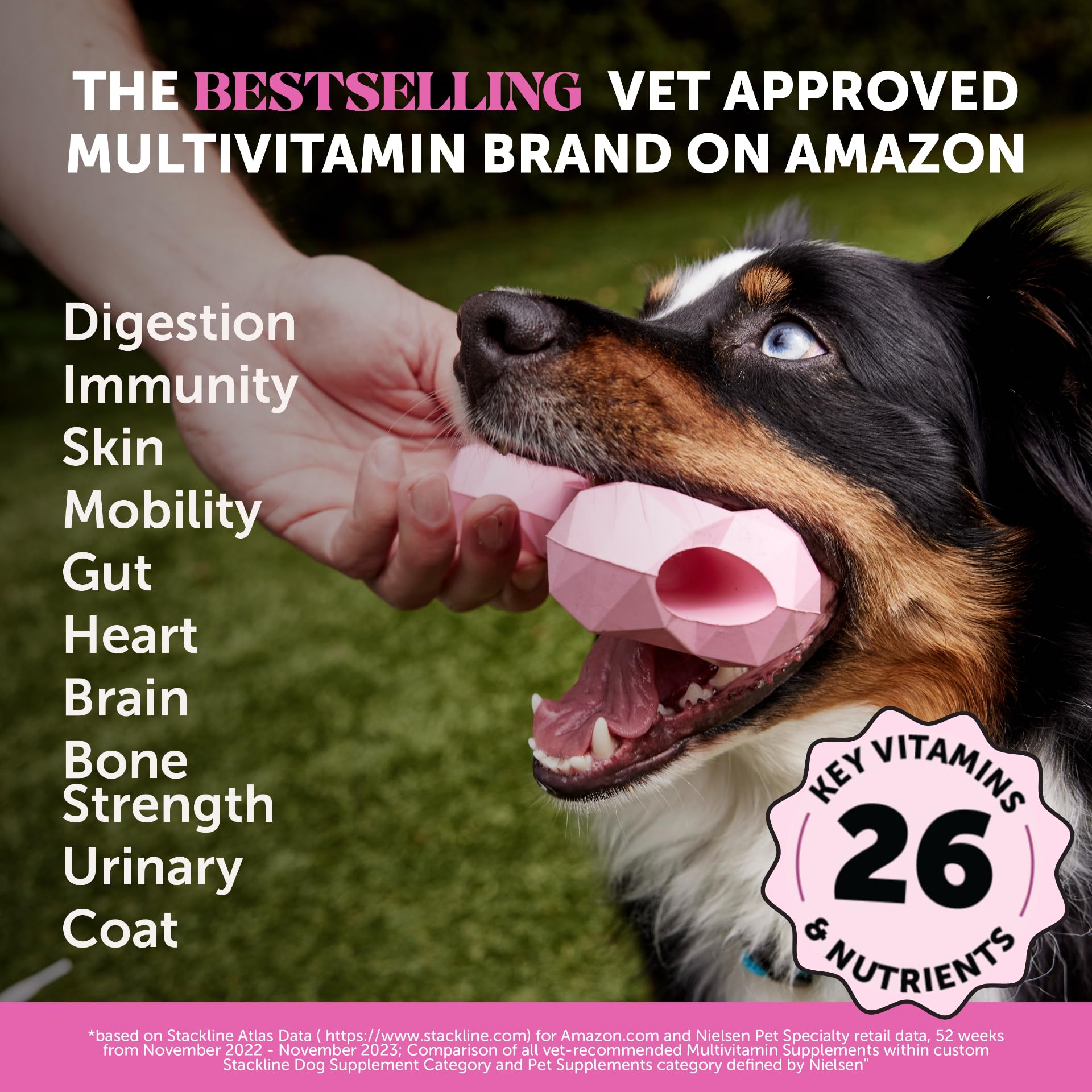 Pet Honesty Multivitamin Dog Supplement with Glucosamine, Chondroitin, Probiotics & Omega Fish Oil - Supports Skin, Coat & Allergy Relief - Peanut Butter Flavor (90 Count) - Ideal for Daily Health & Joint Care for Dogs