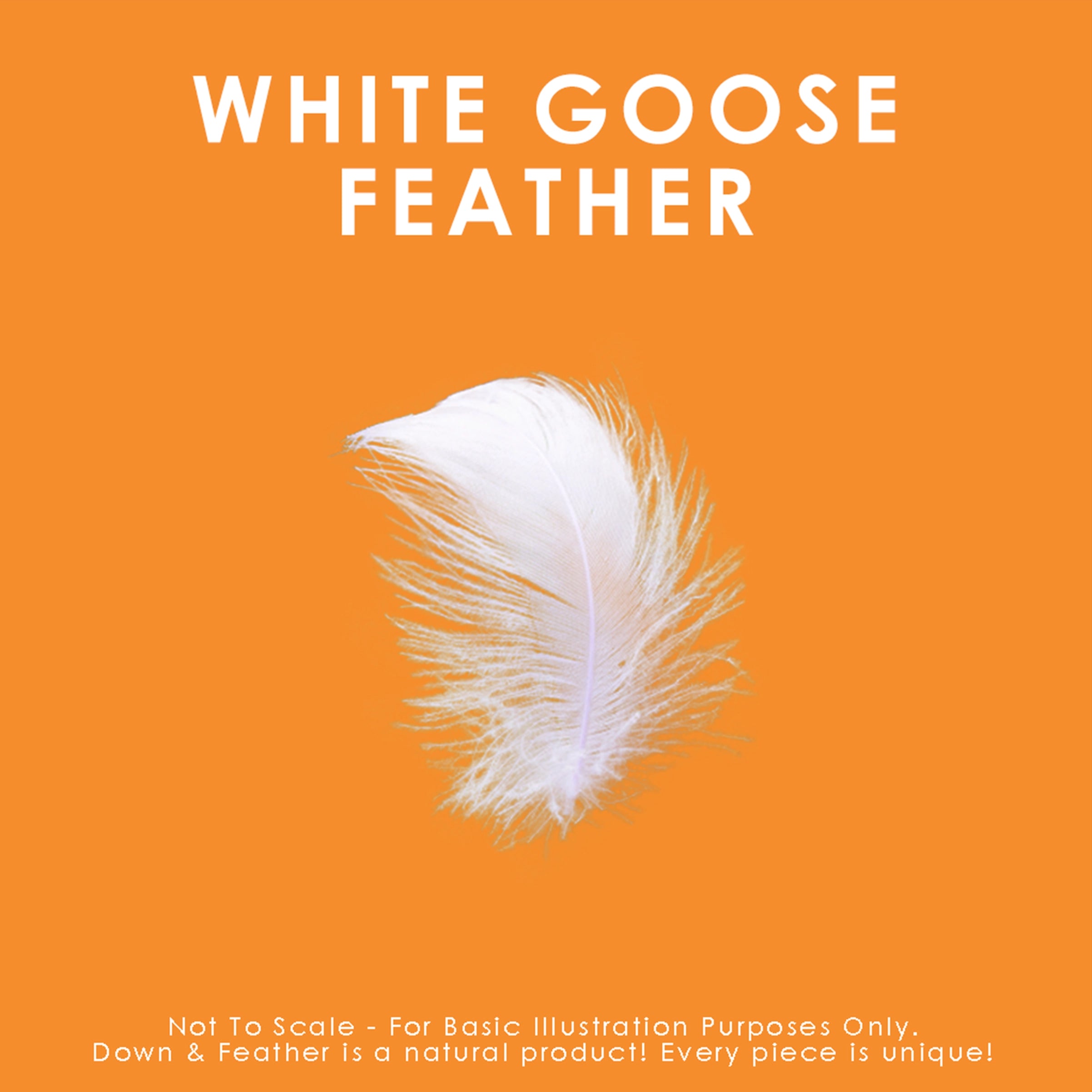 Premium White Goose Feather Pillow - Hypoallergenic & Supportive for Neck Pain - Perfect for Side Sleepers, Back Pain Relief & Luxury Bedding