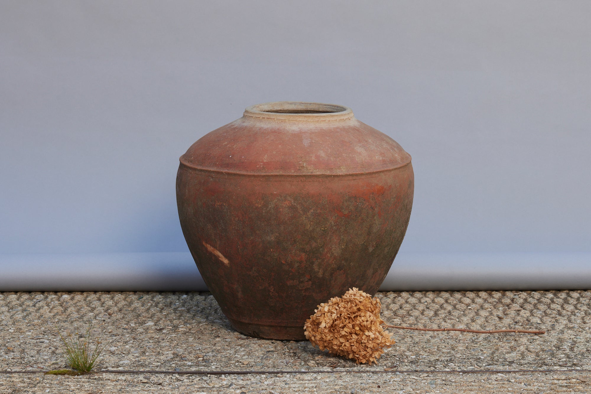 17th Century Majapahit Empire Ceramic Water Jar - Authentic East Java Antique Pottery for Home Decor & Historical Collection | Perfect for Museum Displays, Cultural Exhibits & Vintage Interior Design