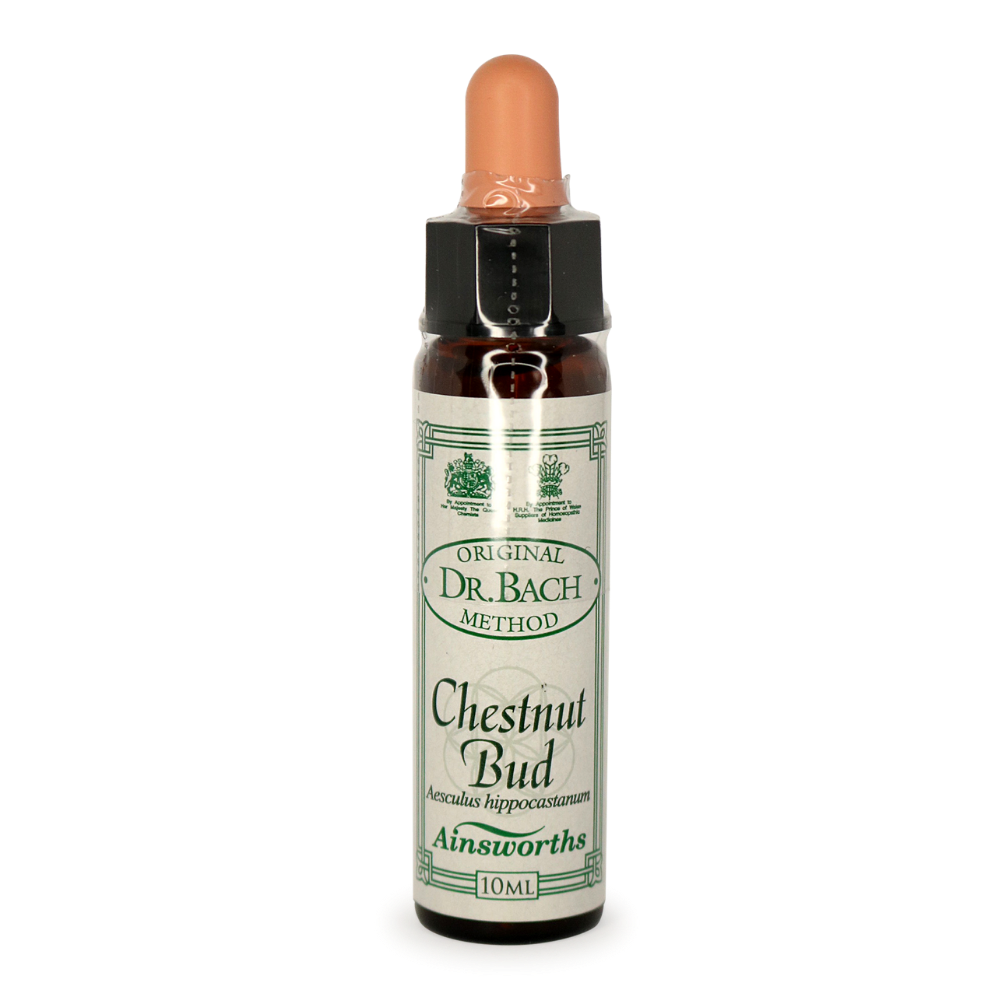 Ainsworths Bach Flower Remedies Chestnut Bud - Natural Stress Relief & Emotional Balance | Perfect for Meditation, Yoga & Daily Wellness