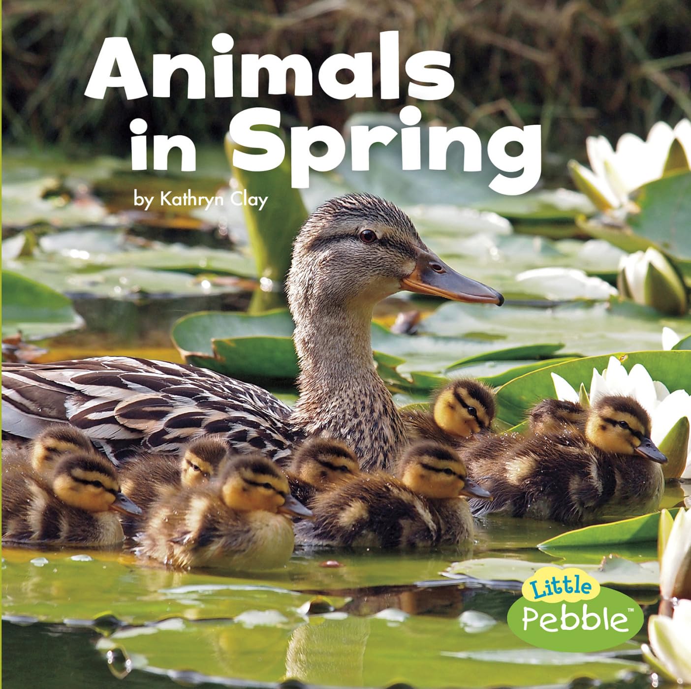 Animals in Spring - Celebrate Spring with Adorable Wildlife | Little Pebble Book for Kids | Perfect for Springtime Reading & Nature Education