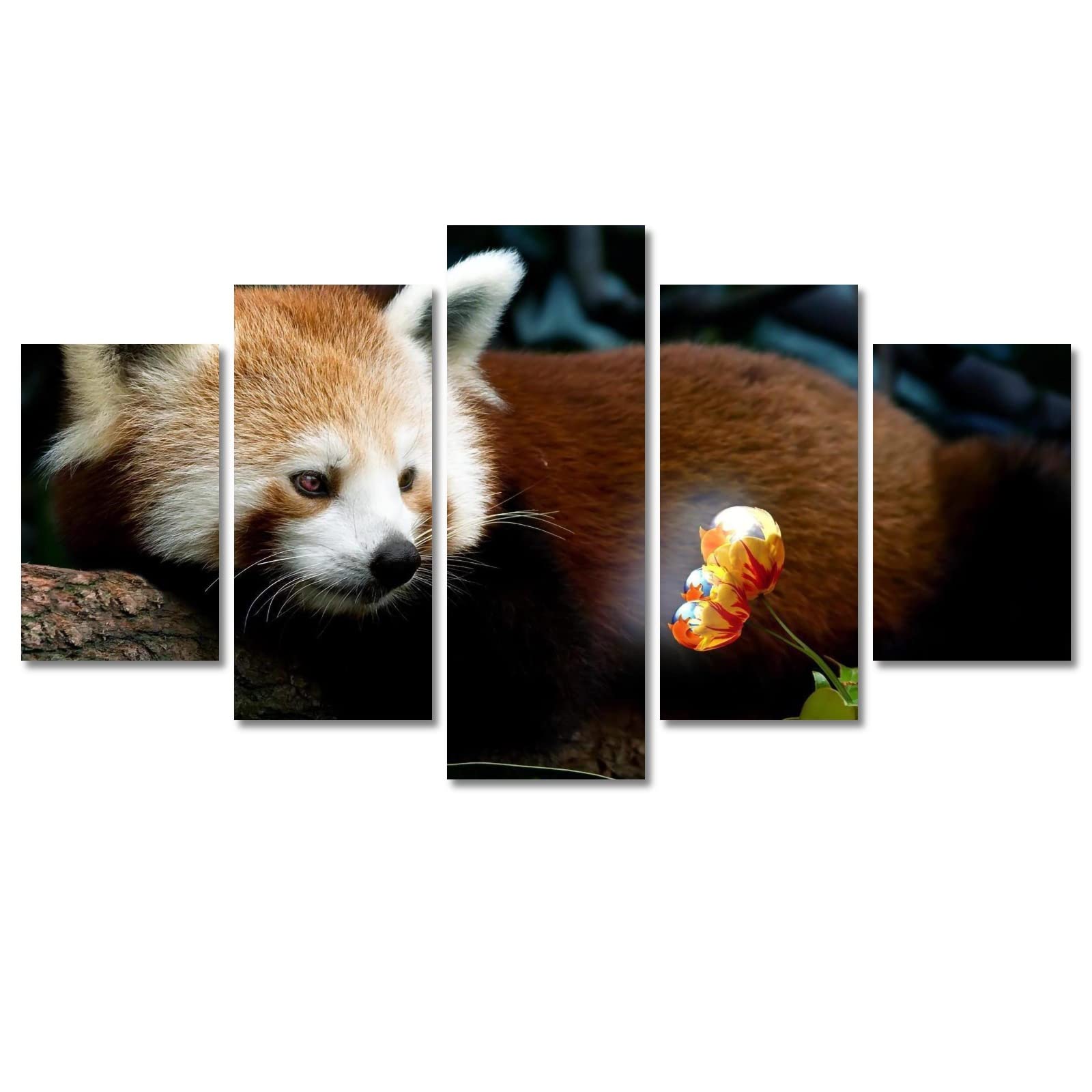 Red Panda Canvas Wall Art Set - 5 Piece Large Framed Painting (40x22 Inches) for Living Room, Bedroom & Office Decor | Nature Wildlife Home Wall Decor