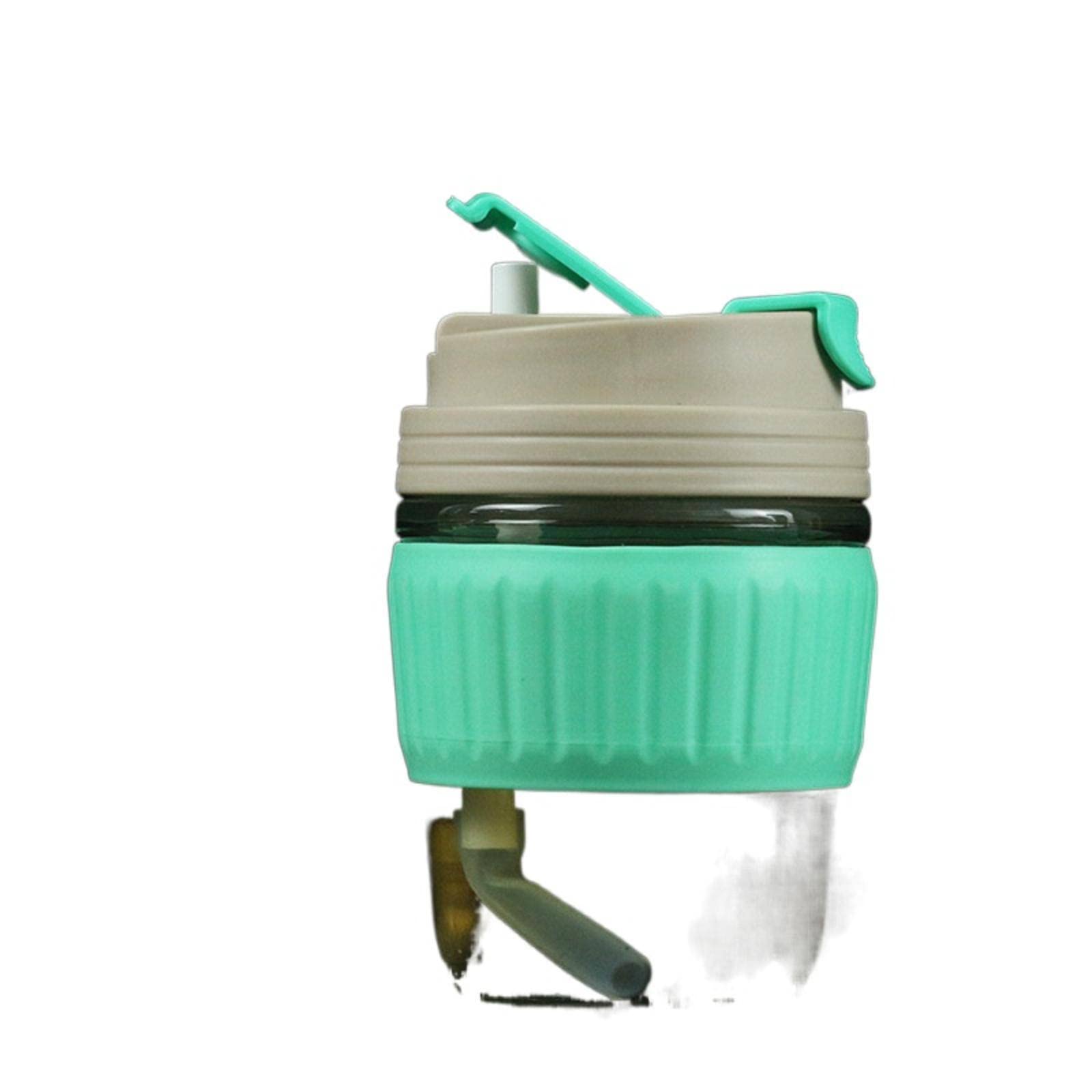 Eco-Friendly Portable Glass Straw Cup - 20oz Large Capacity Double Wall Insulated Tumbler for Coffee, Tea, Milk - Cute Reusable Drinking Cup for Office, Travel, Picnics & Outdoor Activities