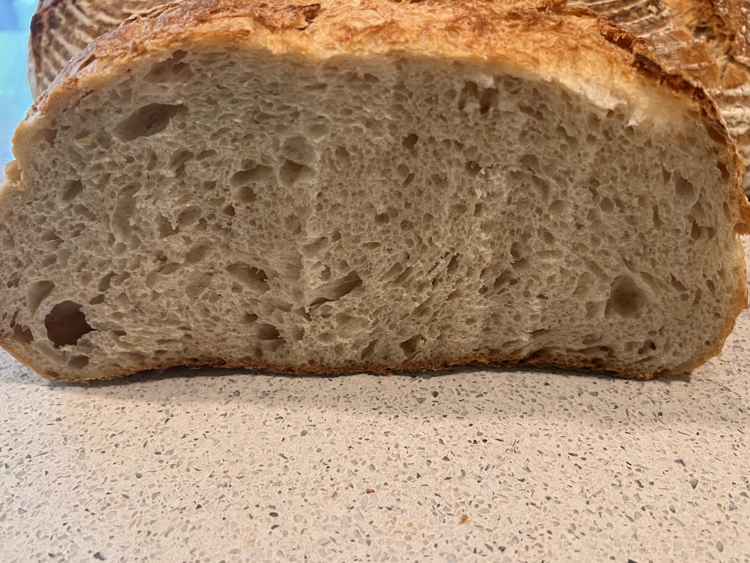 110+ Year Old All Natural Live Hungarian Sourdough Starter | 100g | Pre-Fed & Active Culture | Includes Artisan Bread Recipe | Perfect for Homemade Bread Baking & Sourdough Pizza